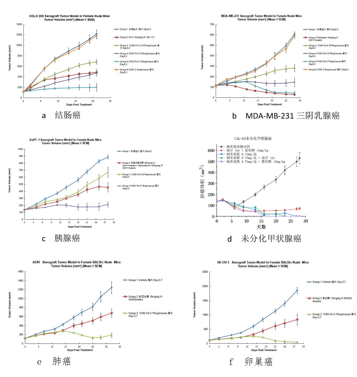 圖2 納米炭鐵單藥治療各種皮下瘤模型